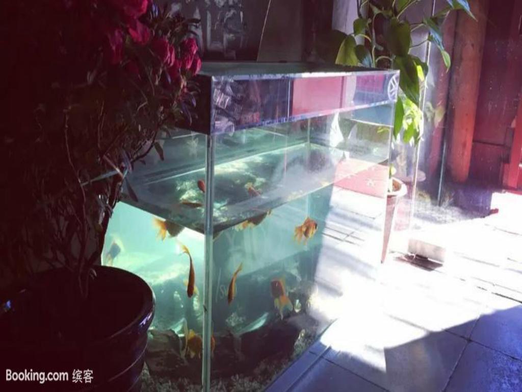 Three Legged Frog Hostel Пекин Экстерьер фото
