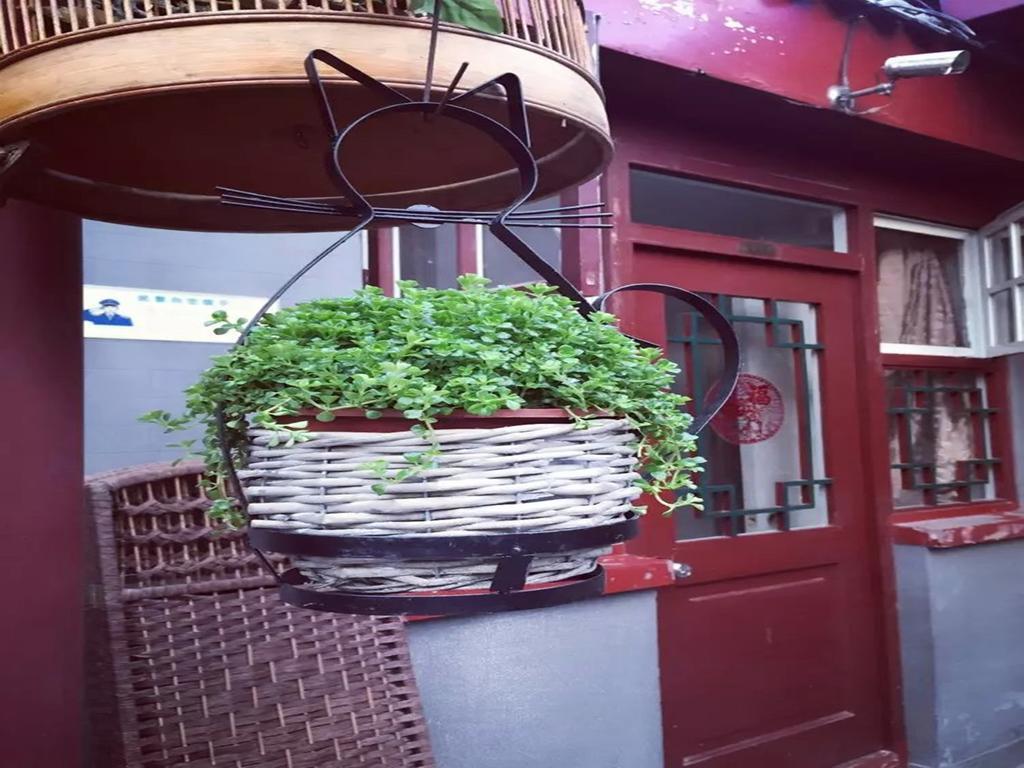 Three Legged Frog Hostel Пекин Экстерьер фото